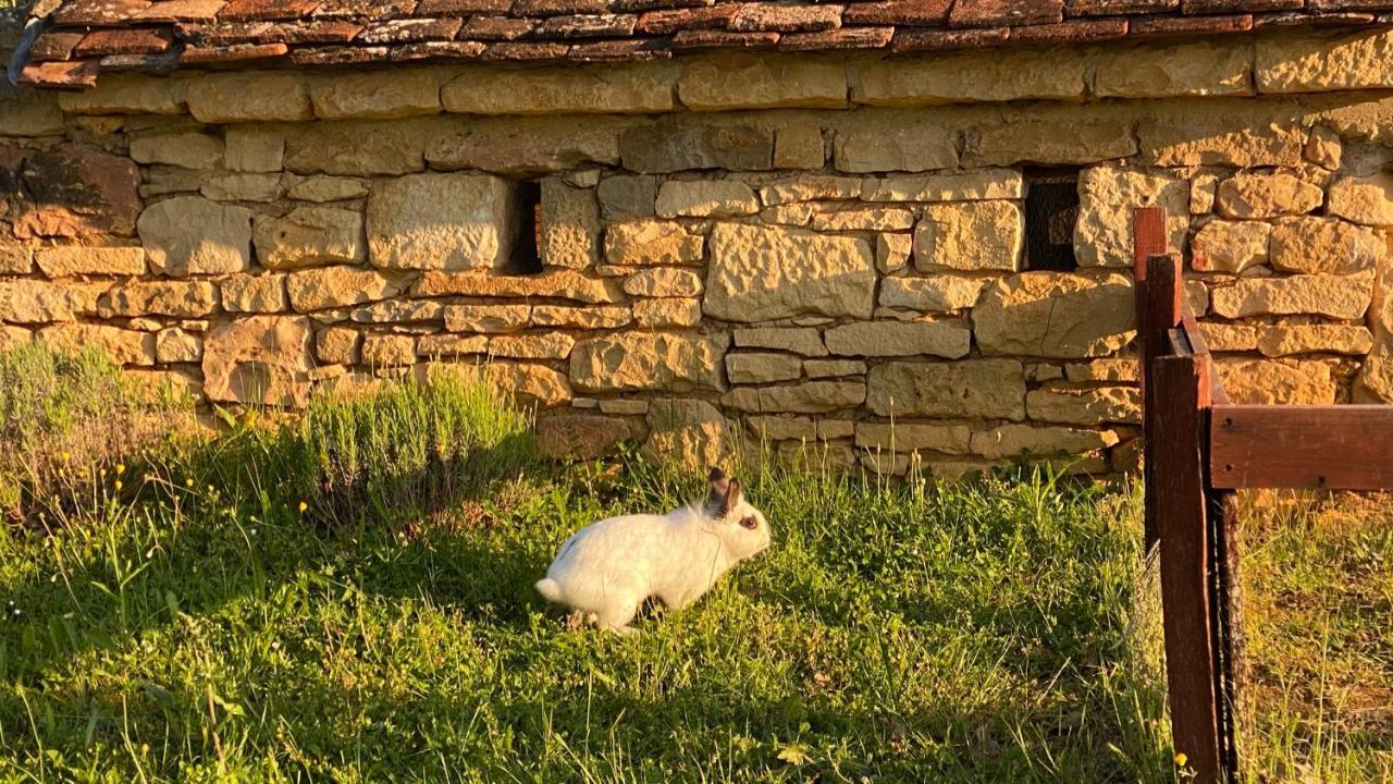 Eco-Hameau Du Sentier Des Sources Βίλα Sarlat-la-Caneda Εξωτερικό φωτογραφία