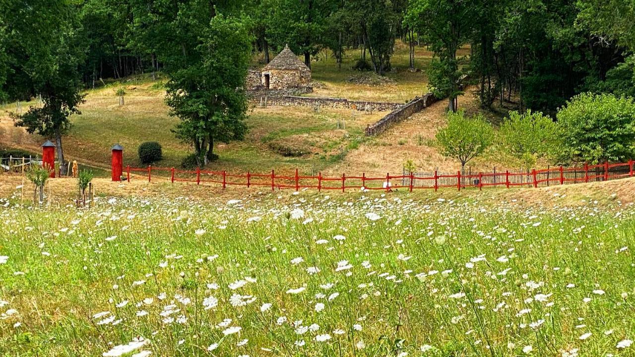Eco-Hameau Du Sentier Des Sources Βίλα Sarlat-la-Caneda Εξωτερικό φωτογραφία