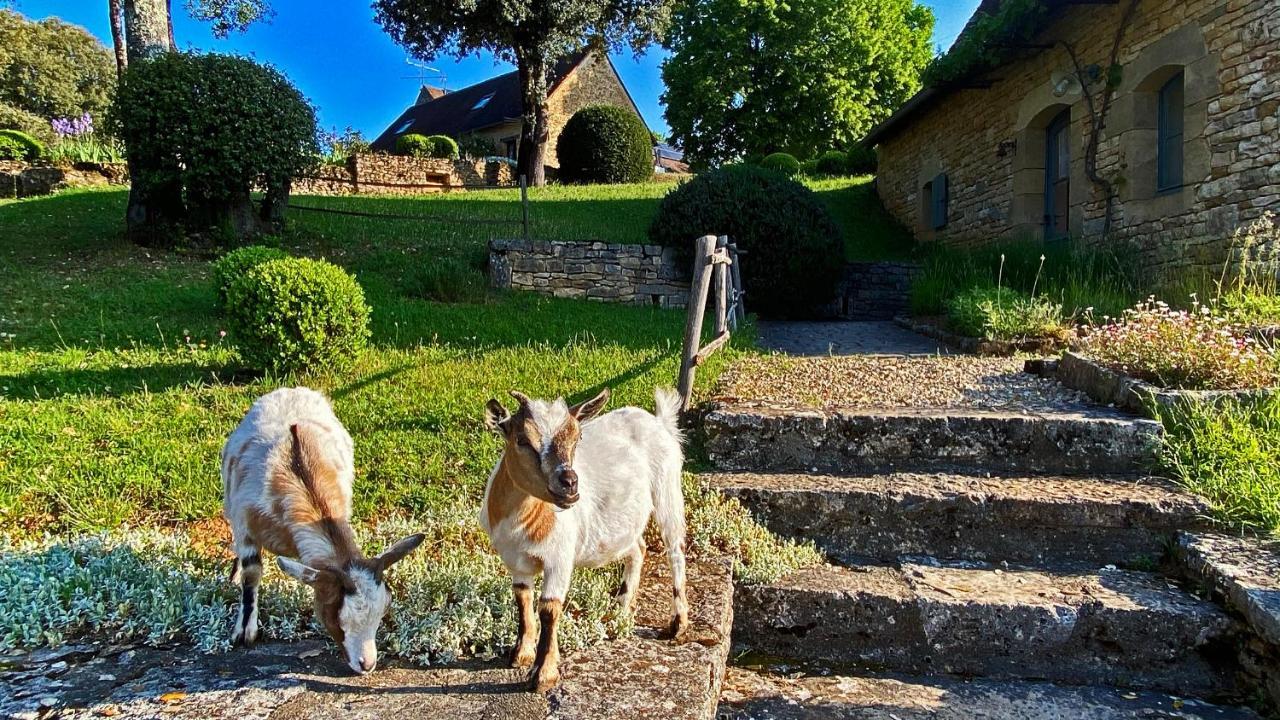Eco-Hameau Du Sentier Des Sources Βίλα Sarlat-la-Caneda Εξωτερικό φωτογραφία
